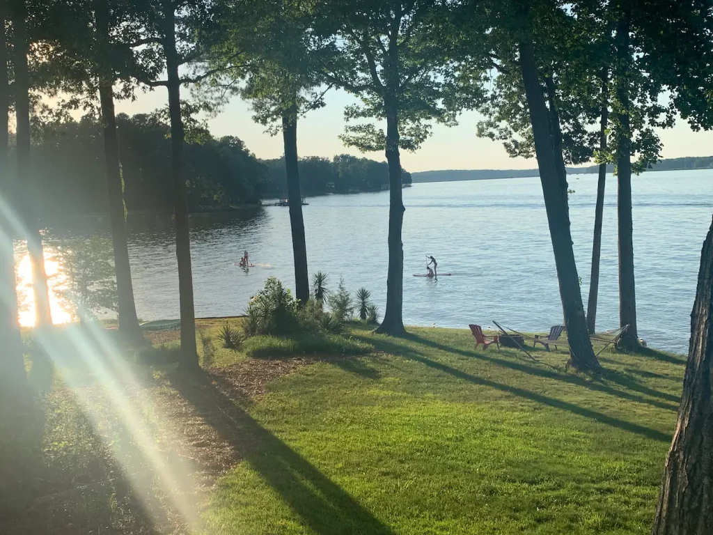Paddle boards